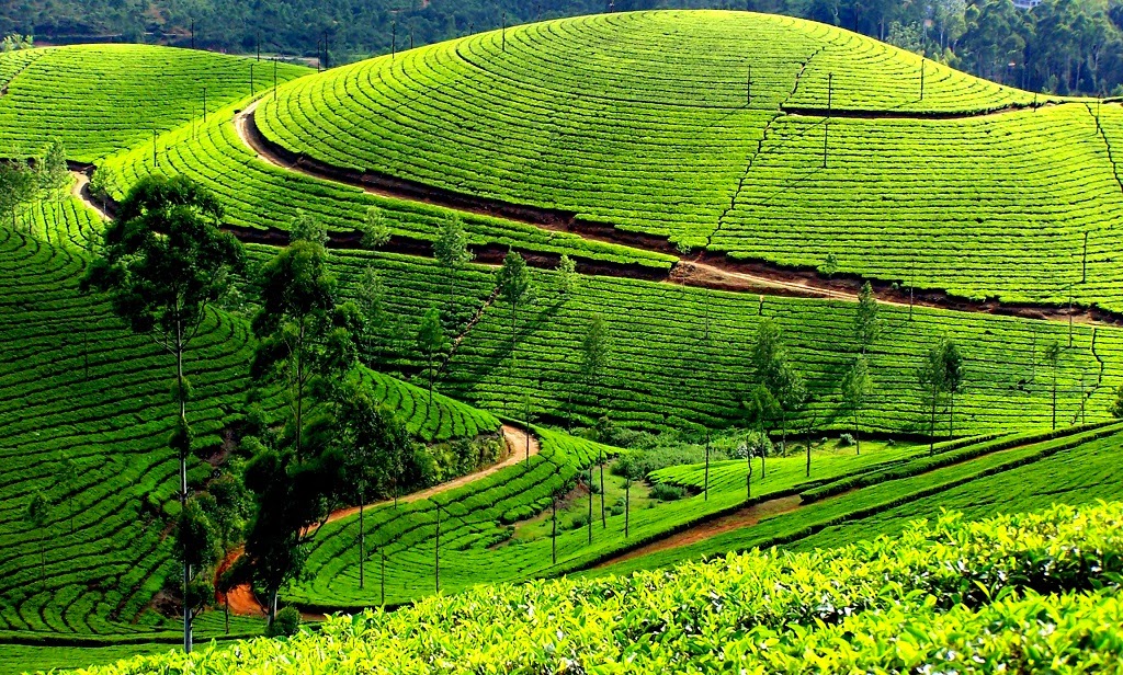 Hill Station