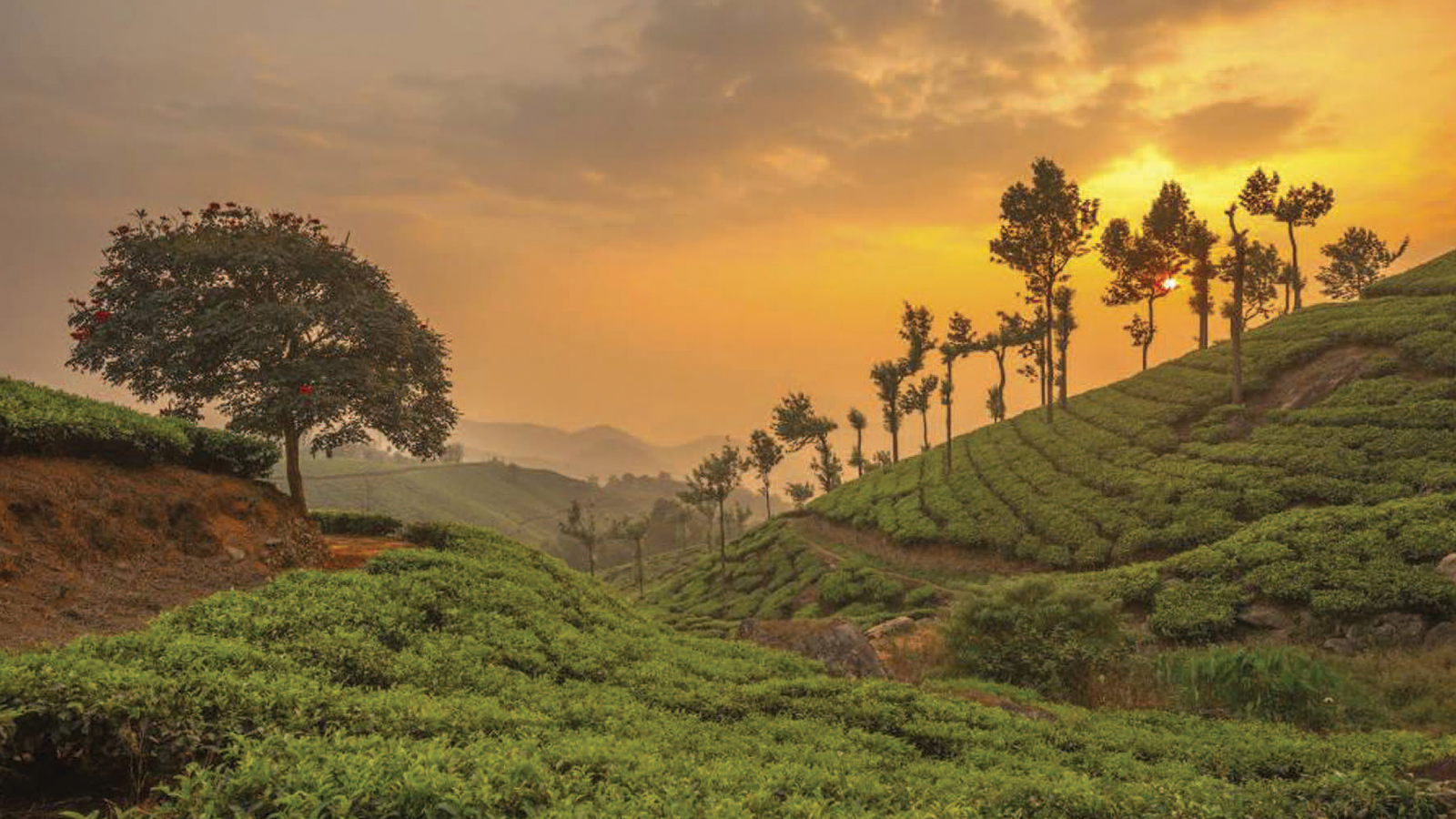 Munnar