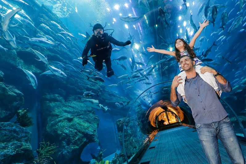 Aquarium