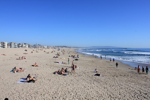 Venice Beach