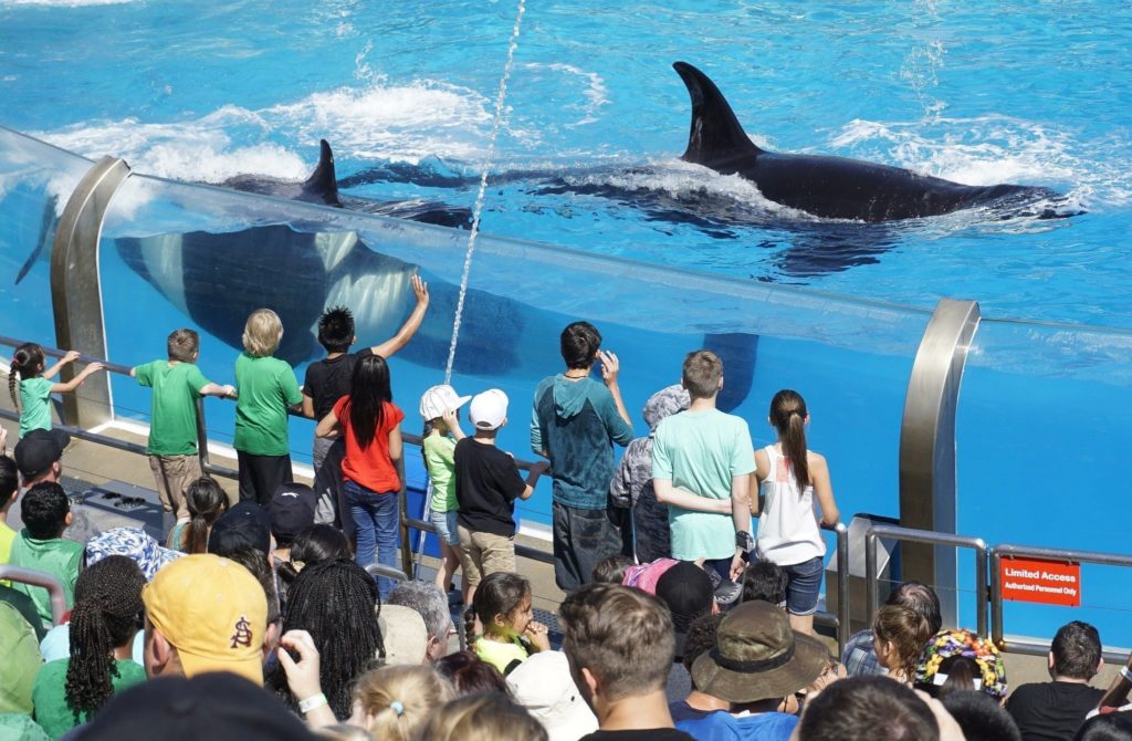 SeaWorld, San Diego