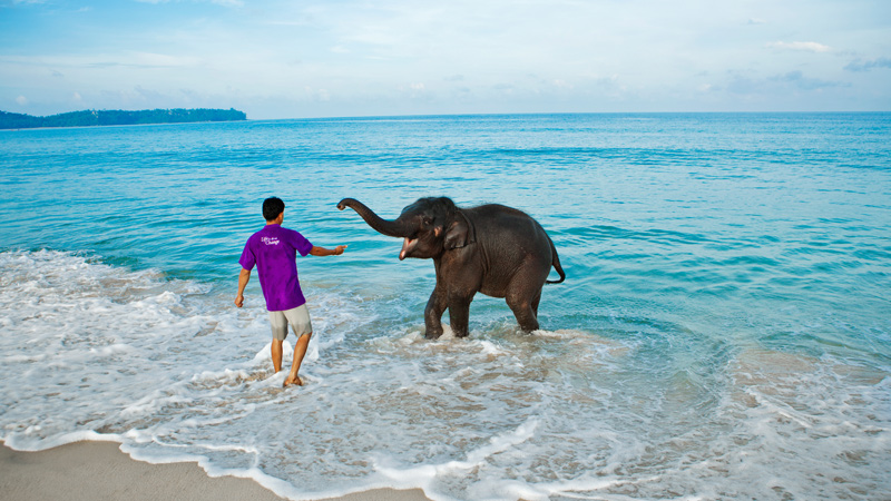Elephnat Beach