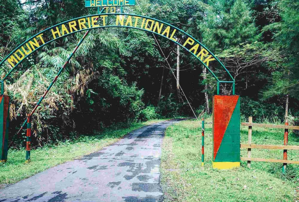 Mount Harriet